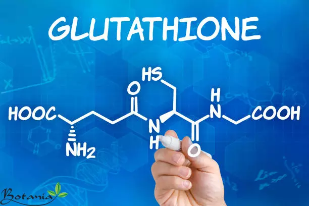Chất chống oxy hóa, tiêu diệt gốc tự do là glutathione