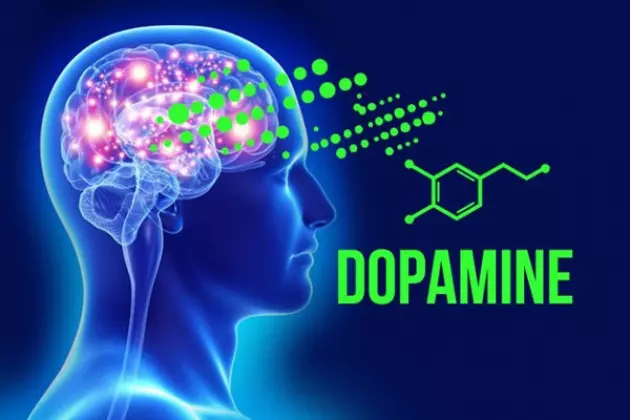 Sự gia tăng nồng độ Dopamine