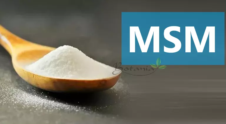 MSM là gì? MSM có tác dụng gì và bổ sung bằng cách nào?