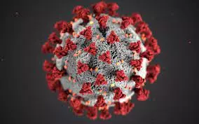 Virus ngày càng nhiều và nguy hiểm hơn với loài người