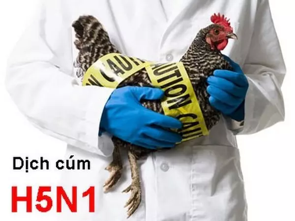 Virus cúm A /H5N1