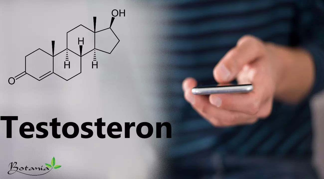 Sóng điện thoại không làm giảm nồng độ hormon testosteron ở nam giới
