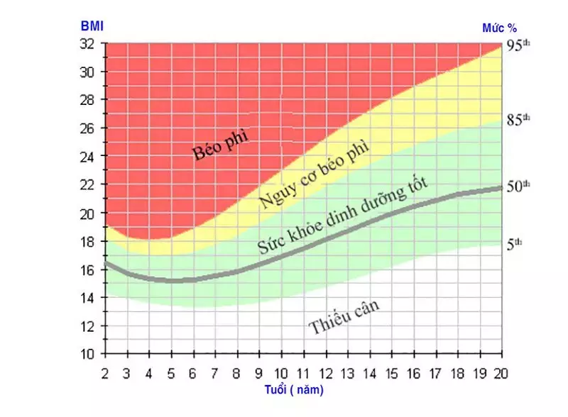Biểu đồ tăng trưởng tỷ lệ phần trăm BMI theo tuổi