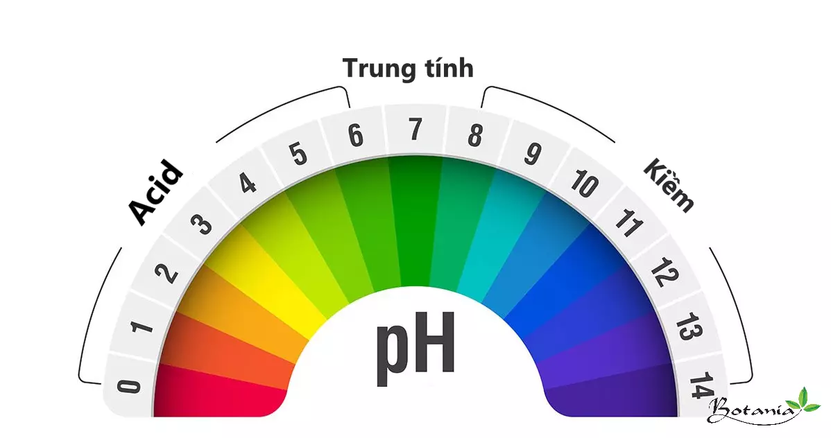 Thang đo độ pH
