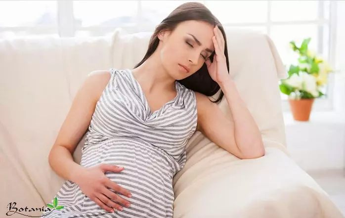 Phụ nữ có thai dễ bị rối loạn tiền đình