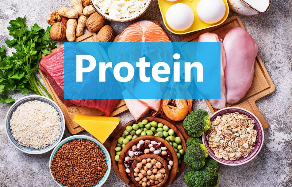 Bổ sung protein như thế nào để tốt cho sức khỏe, không bị dư thừa?