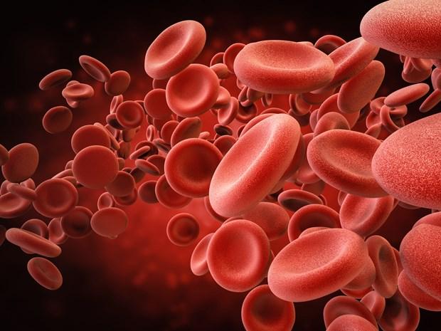 Hưởng ứng ngày Hemophilia Thế giới – Thúc đẩy điều trị dự phòng tại tuyến cơ sở