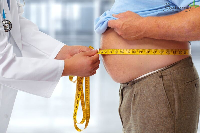 Ăn kiêng sai cách có thể gây tăng cân