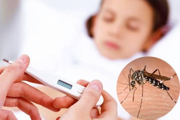 Sốt xuất huyết do virus Dengue gây ra là một dạng bệnh truyền nhiễm cấp tính