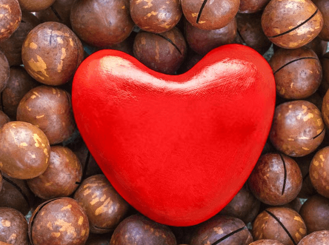 Hạt macca rất tốt cho sức khỏe tim mạch
