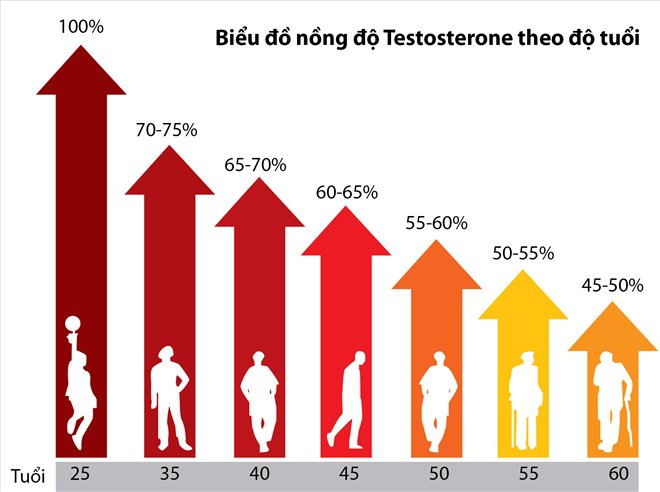 Nồng độ testosterone sẽ sụt giảm dần theo tuổi tác