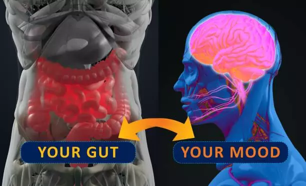 Tâm trạng của bạn ảnh hưởng đến đường ruột