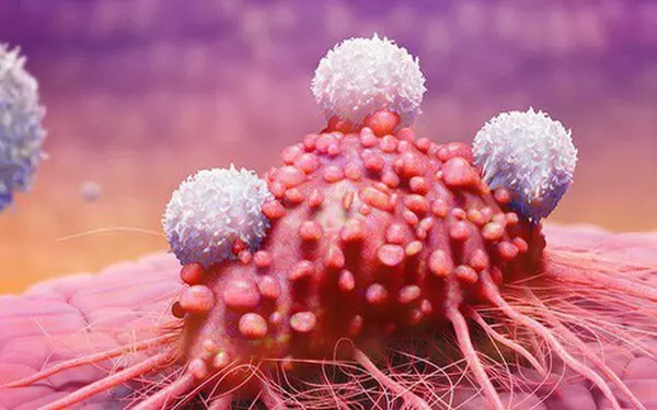 Tìm hiểu liệu pháp kháng thể đơn dòng trong điều trị ung thư