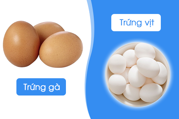 Trứng gà hay trứng vịt tốt hơn? Nên ăn trứng như thế nào là tốt nhất?