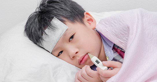 Ho, sốt là triệu chứng điển hình của viêm phổi do Mycoplasma