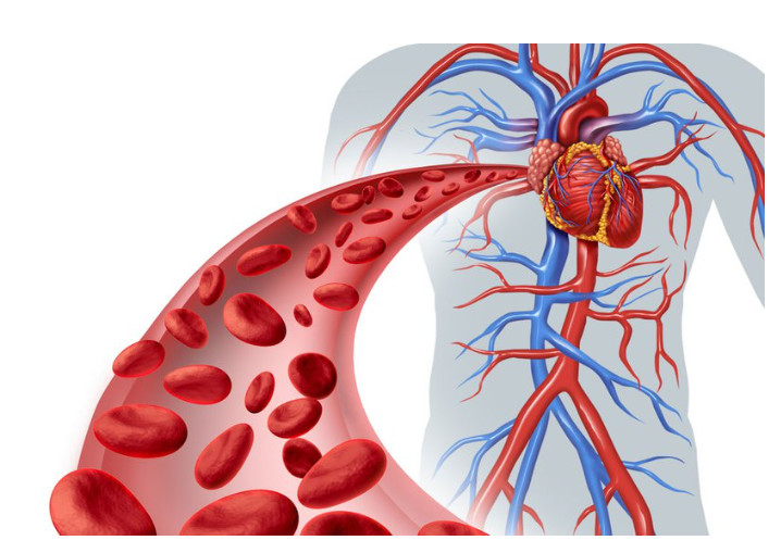 Suy tim là tình trạng tim không còn thực hiện được tốt khả năng bơm máu