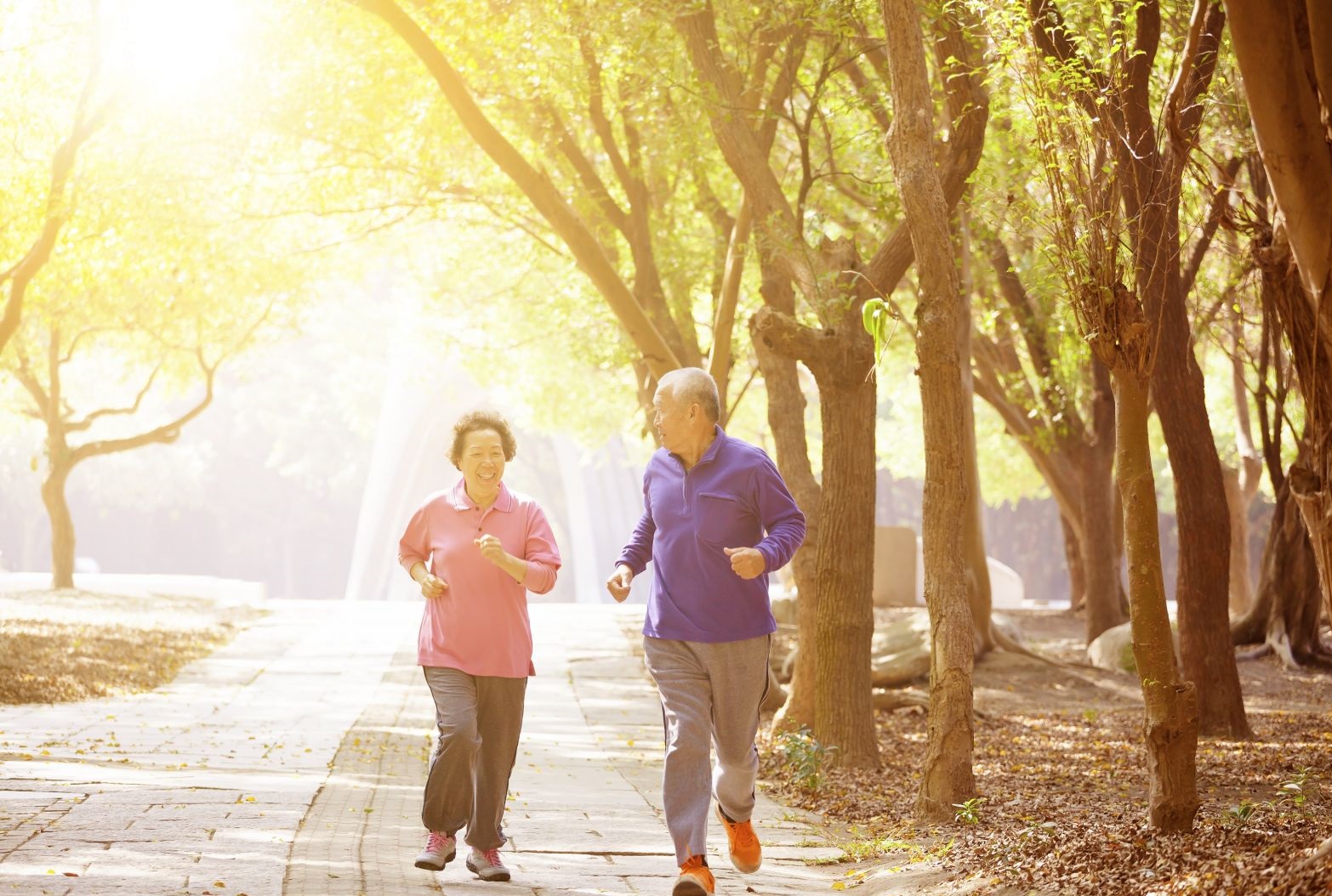 Tập thể dục có thể giúp ngăn ngừa chứng sa sút trí tuệ ở người cao tuổi