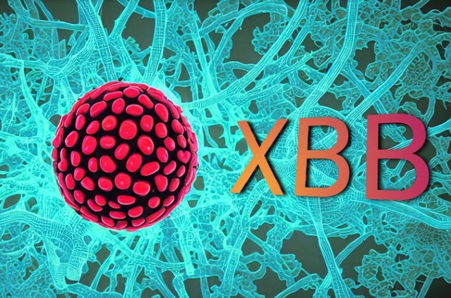 100% mẫu bệnh phẩm gần đây đều nhiễm các biến chủng phụ XBB của Omicron