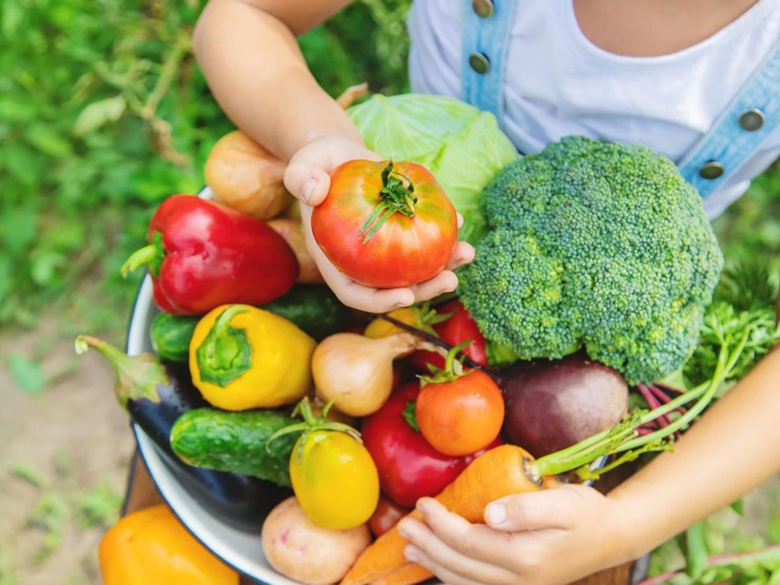 Người cao tuổi cần có chế độ ăn hàng ngày có nhiều rau, củ, quả và giảm bớt thịt.
