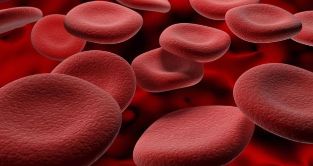 Thừa sắt trong máu: Nguyên nhân và dấu hiệu nhận biết