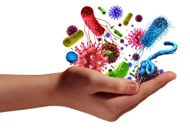 Kháng sinh thường tiêu diệt luôn cả vi khuẩn có lợi, dễ khiến bệnh tồi tệ hơn