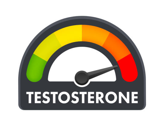  Testosterone suy giảm theo quá trình lão hóa của tuổi tác