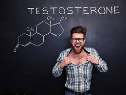 vai trò hormone testosteron